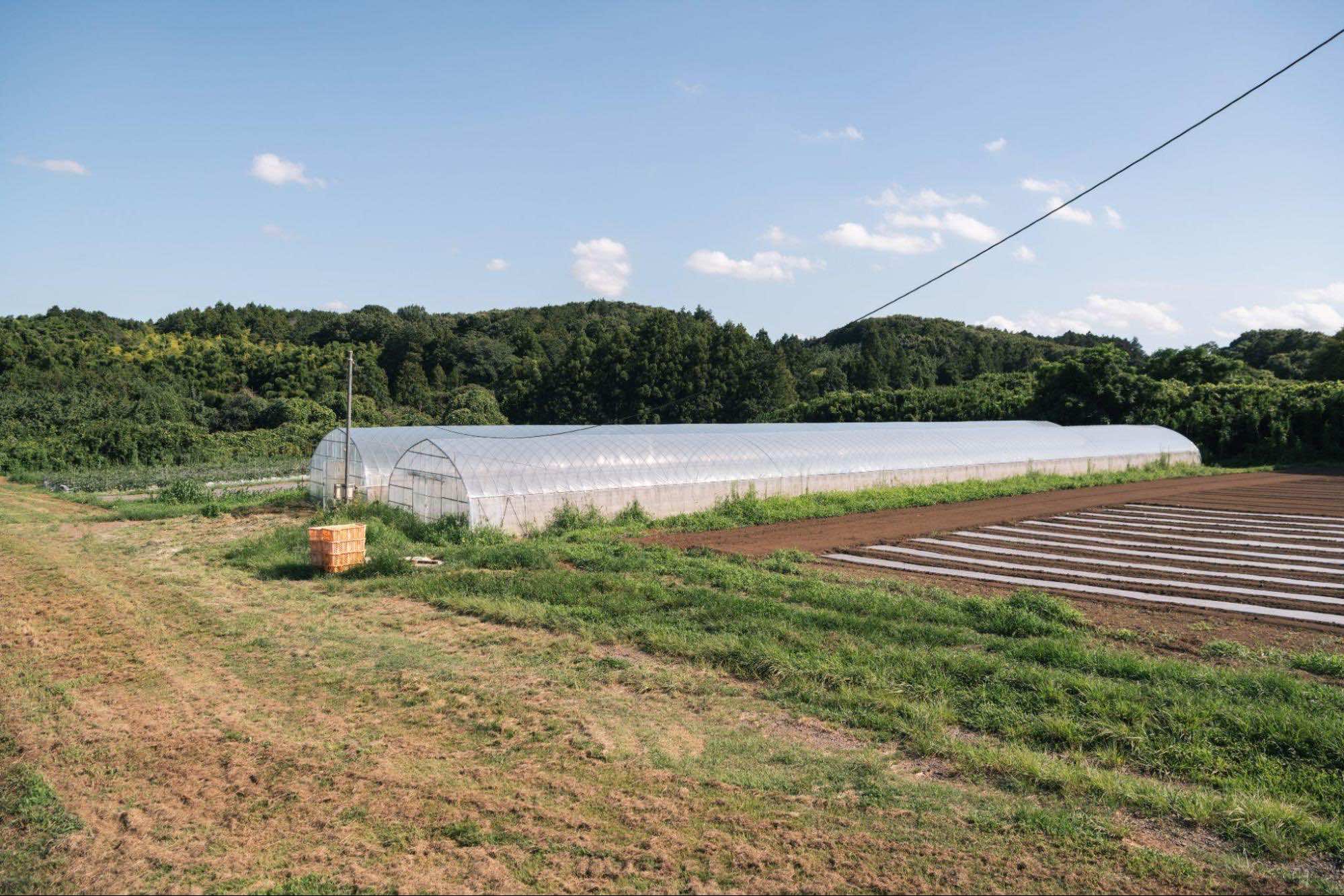 ゆめファームでは有機農業経営を実践的に学ぶことで安心して独立ができる